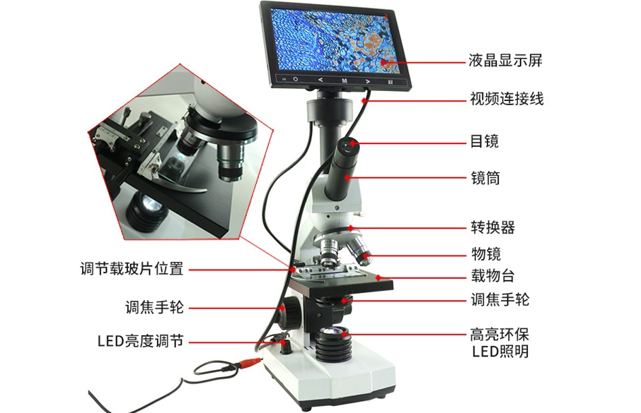 牧斯德视频显微镜的构造