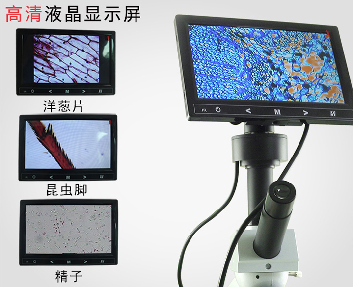 牧斯德视频显微镜